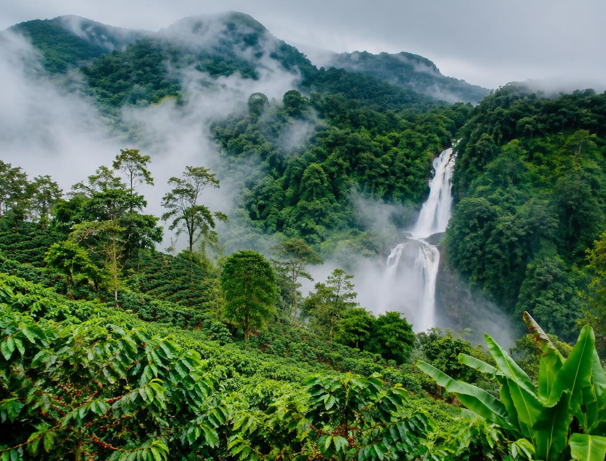 Monsoon