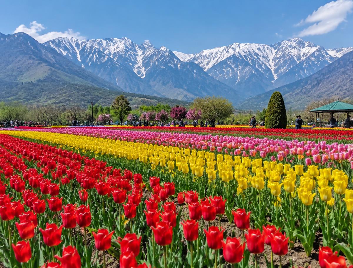 Spring